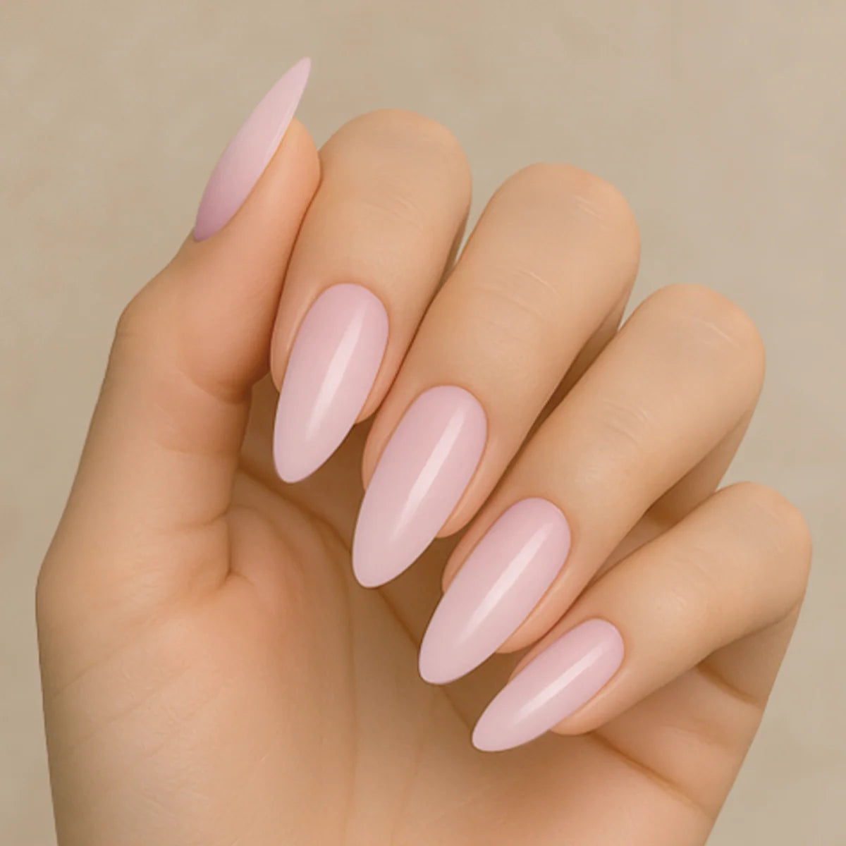 Amore - Gel Builder