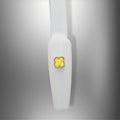 Yellow And Gold Cleef 2pc