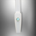 Blue And Gold Cleef 2pc
