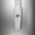 Gold Sea Star 4pc