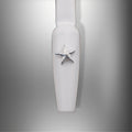 Silver Sea Star 4pc