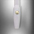 Gold Sea Shell 4pc